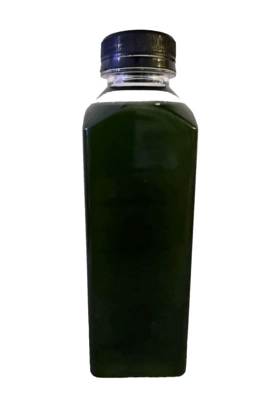 Live Phytoplankton "Phyto Power"