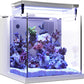 Premium All-In-One Desktop Mini Acrylic 0.95Gal(3.6L) Reef Aquarium with Back Filter System and LED Light(Uf-01A)