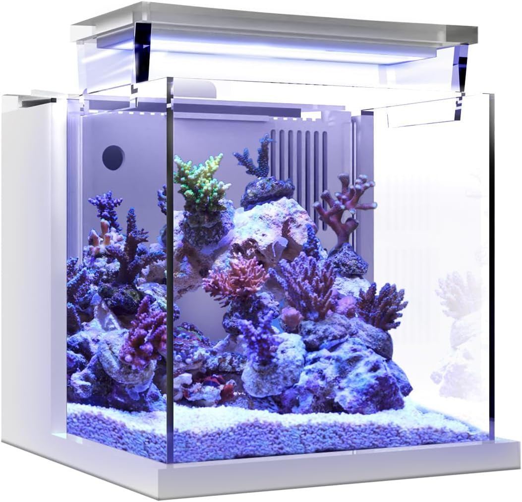 Premium All-In-One Desktop Mini Acrylic 0.95Gal(3.6L) Reef Aquarium with Back Filter System and LED Light(Uf-01A)