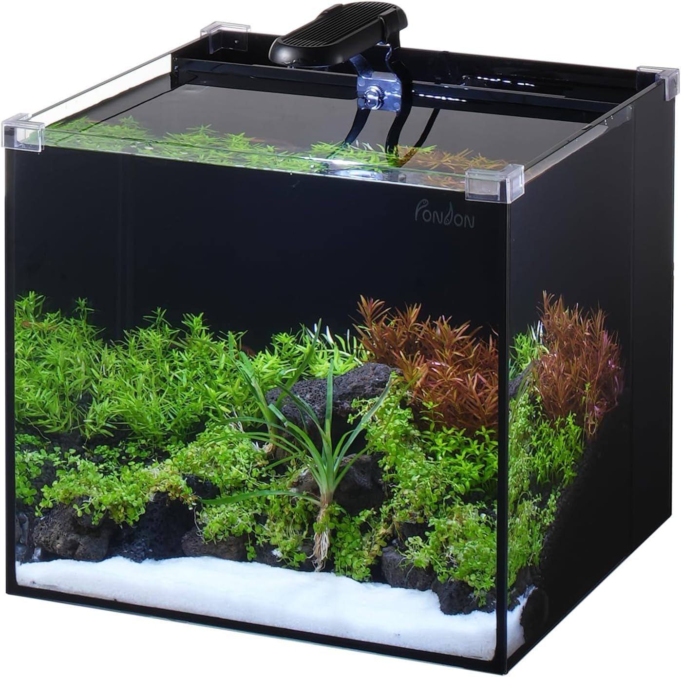 5 Gallon Fish Tank, Low Iron Rimless Glass Aquarium Starter Kits with –