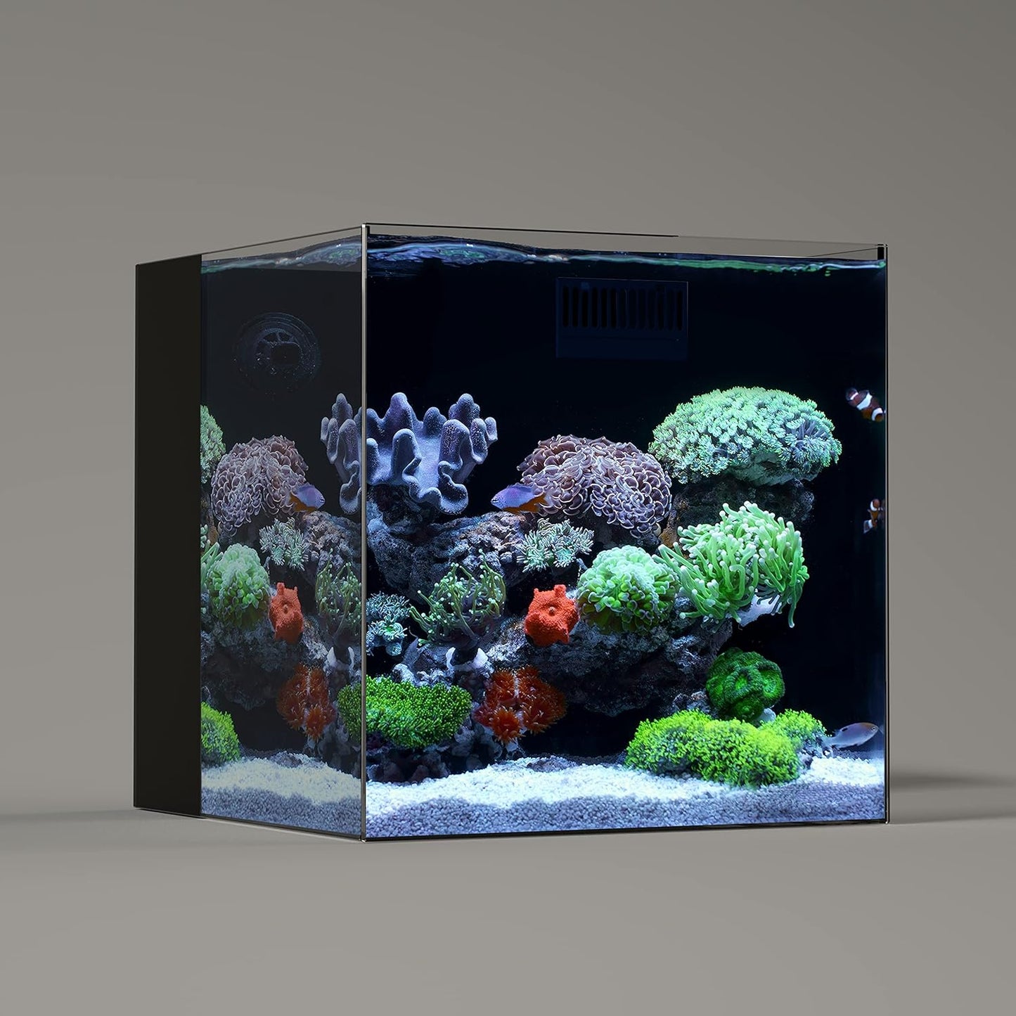16 Gallon Ultra Clear Glass Rimless Low Iron Aquarium