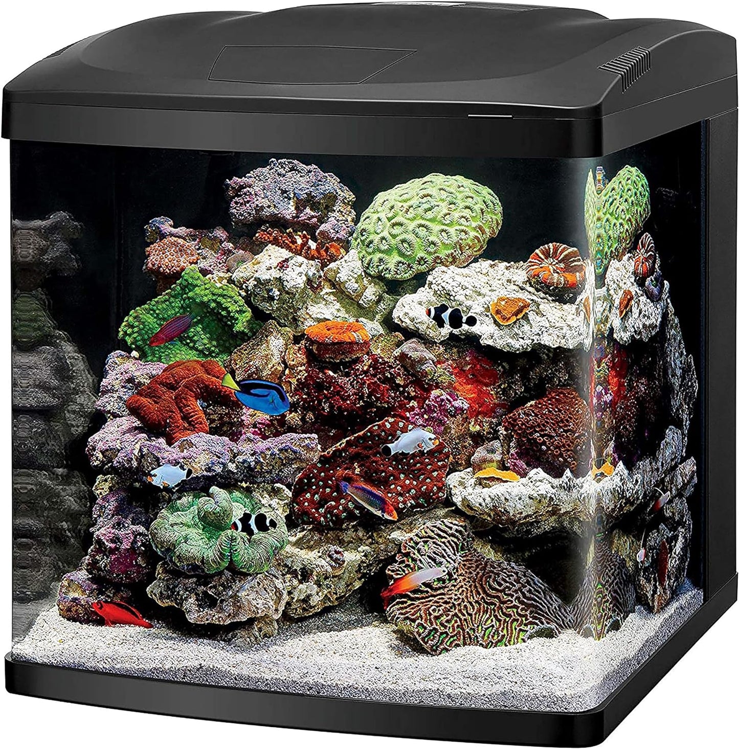 LED Biocube Aquarium Fish Tank Kit, 32 Gallon