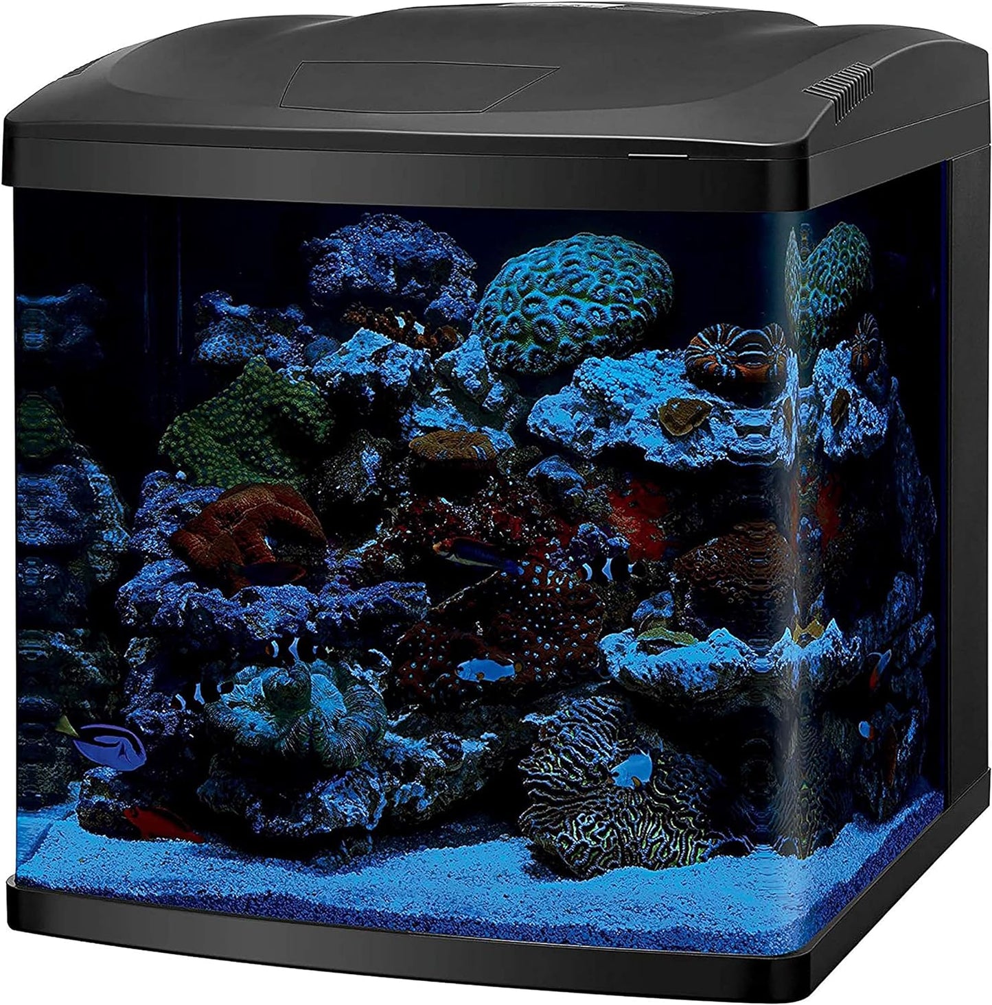 LED Biocube Aquarium Fish Tank Kit, 32 Gallon