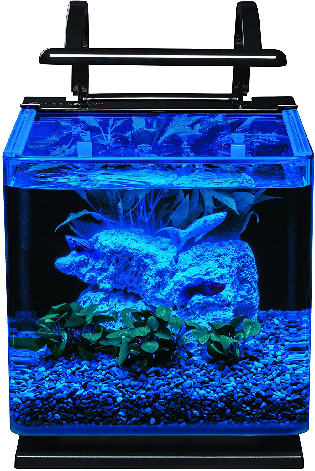 Contour Glass Aquarium Kit with Rail Light