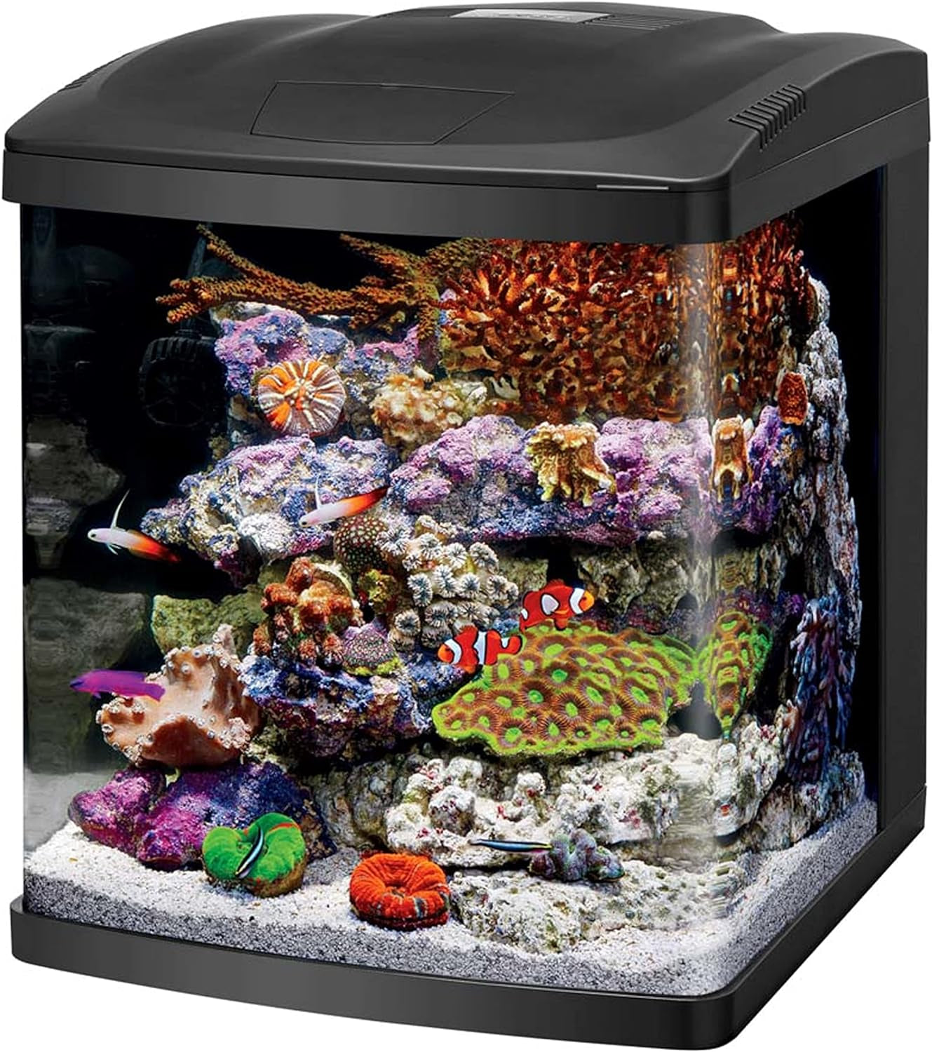 LED Biocube Aquarium Fish Tank Kit, 16 Gallon