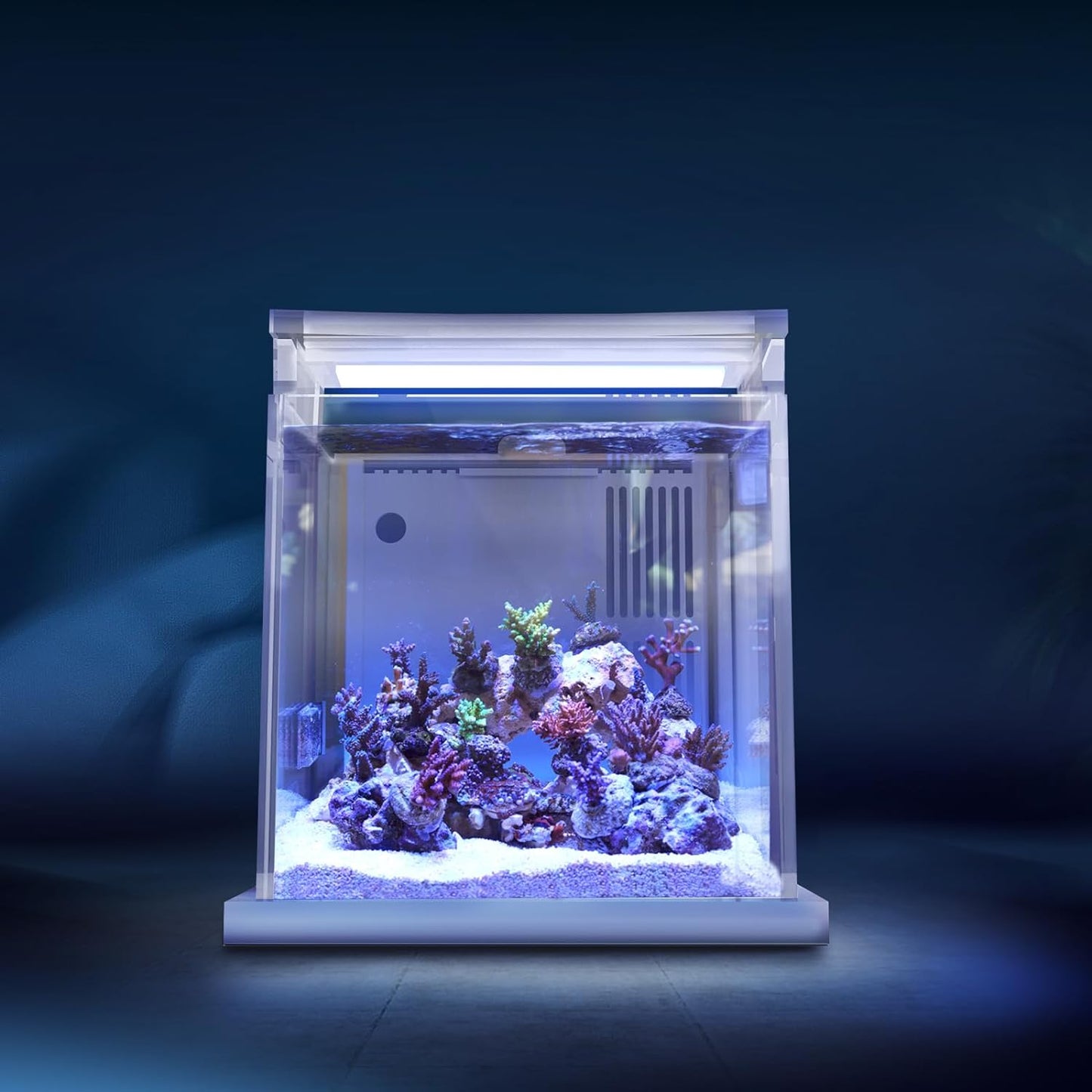 Premium All-In-One Desktop Mini Acrylic 0.95Gal(3.6L) Reef Aquarium with Back Filter System and LED Light(Uf-01A)