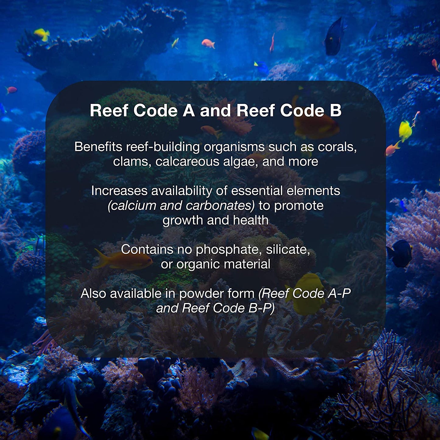 Reef Code B, Balanced Calcium & Alkalinity System for All Marine Fish & Reef Aquaria, 4 L