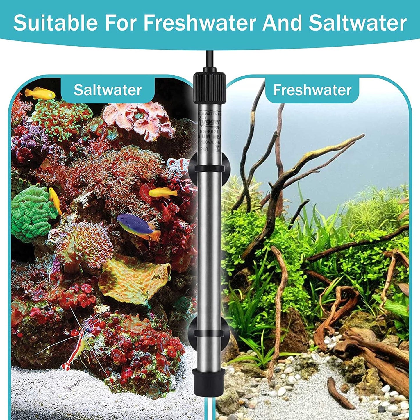 Pinpoint Saltwater Aquarium Heater with Digital Thermostat IC Temp Controller, Titanium Tube Submersible Fish Tank Heater for Coral Reef 100 Watt
