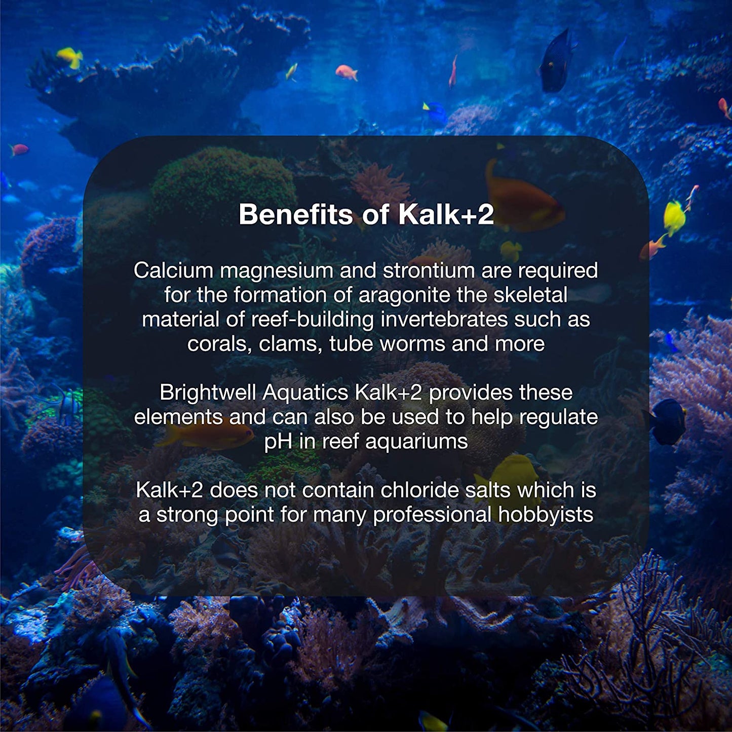 Kalk+2 - Advanced Calcium, Magnesium & Strontium Powdered Kalkwasser Supplement for Marine Fish and Aquariums