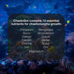 Chaeto GRO - Multi-Nutrient Supplement for Chaetomorpha Growth in All Marine Aquariums, 250 ML