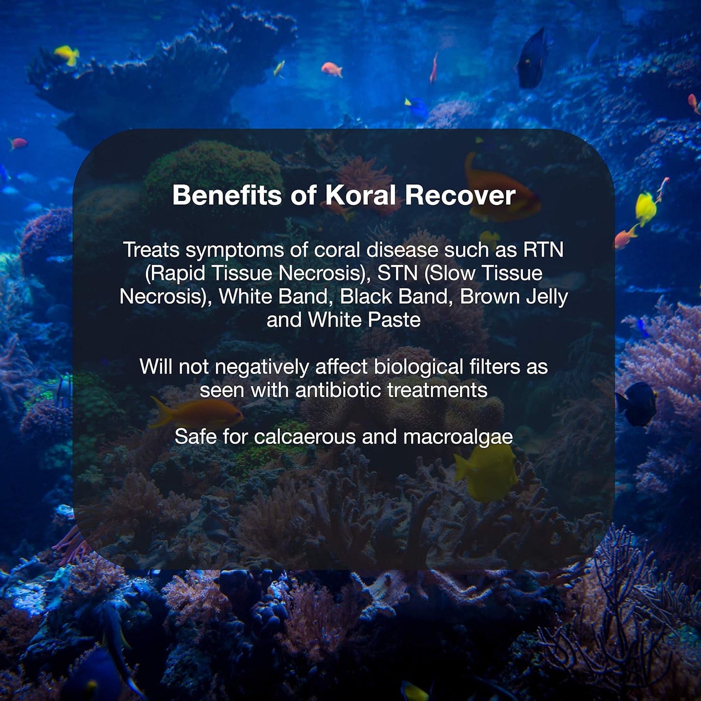 Koral Recover - Coral Remedy for Treatment of Live Corals & Regrowth of Damaged Coral Tissue, 500Ml, 500-ML (KRC500)