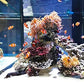 Bio-Activ Live Aragonite Reef Sand 20 Lb.