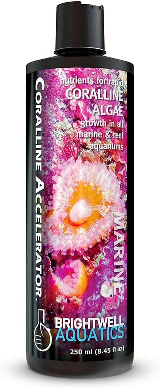 Coralline Accelerator - Multi-Nutrient Supplement for Coralline Algae Growth in Marine and Reef Aquariums, 250 Ml