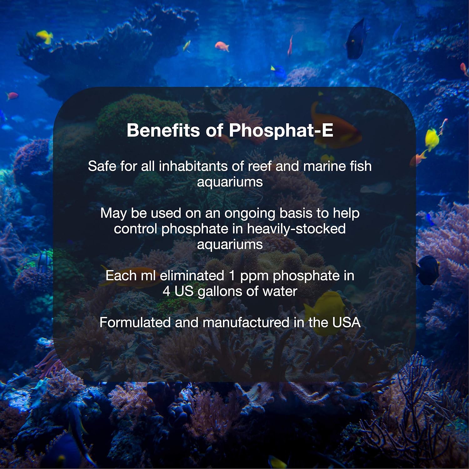 Phosphat-E - Liquid Phosphate Remover for Marine Fish and Reef Aquarium 250-ML