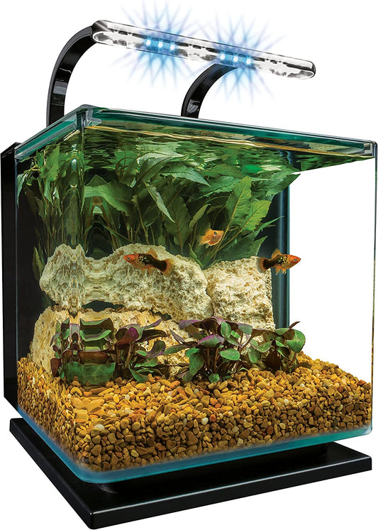 Contour Glass Aquarium Kit with Rail Light