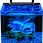 Contour Glass Aquarium Kit with Rail Light
