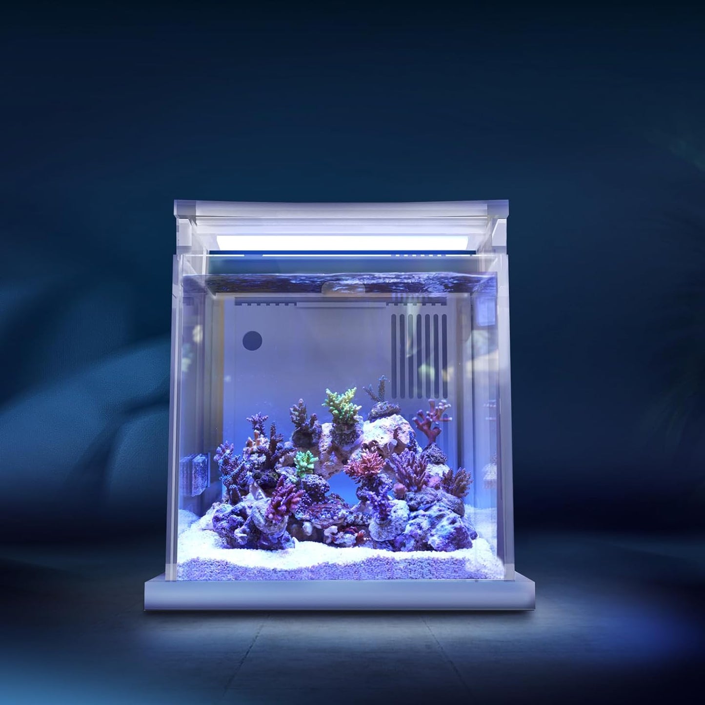 Premium All-In-One Desktop Mini Acrylic 0.95Gal(3.6L) Reef Aquarium with Back Filter System and LED Light(Uf-01A)
